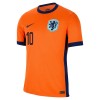 Original Fußballtrikot Niederlande Memphis 10 Heimtrikot EURO 2024 Für Herren